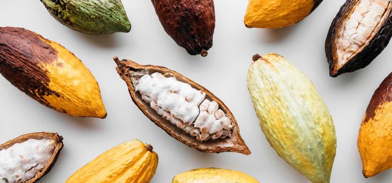 RDW-Header-cocoa-pods-1